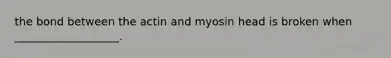 the bond between the actin and myosin head is broken when ___________________.