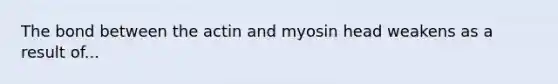 The bond between the actin and myosin head weakens as a result of...