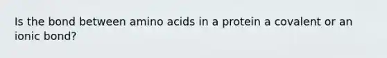 Is the bond between amino acids in a protein a covalent or an ionic bond?