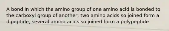 A bond in which the amino group of one amino acid is bonded to the carboxyl group of another; two amino acids so joined form a dipeptide, several amino acids so joined form a polypeptide