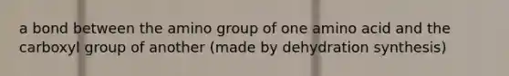 a bond between the amino group of one amino acid and the carboxyl group of another (made by dehydration synthesis)