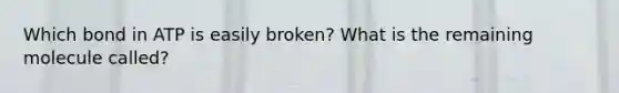 Which bond in ATP is easily broken? What is the remaining molecule called?