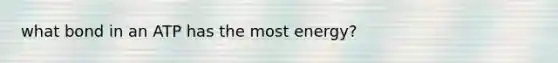 what bond in an ATP has the most energy?