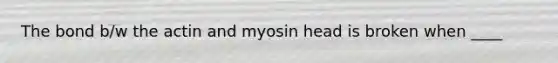 The bond b/w the actin and myosin head is broken when ____