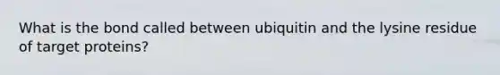 What is the bond called between ubiquitin and the lysine residue of target proteins?