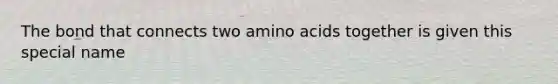 The bond that connects two amino acids together is given this special name