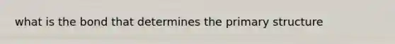 what is the bond that determines the primary structure