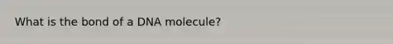 What is the bond of a DNA molecule?