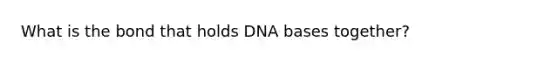 What is the bond that holds DNA bases together?