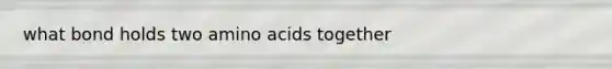 what bond holds two amino acids together