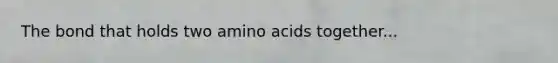 The bond that holds two amino acids together...