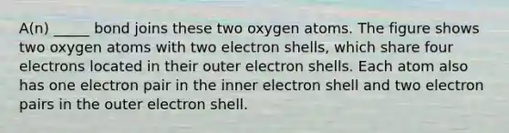 A(n) _____ bond joins these two oxygen atoms. The figure shows two oxygen atoms with two electron shells, which share four electrons located in their outer electron shells. Each atom also has one electron pair in the inner electron shell and two electron pairs in the outer electron shell.