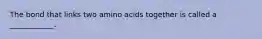 The bond that links two amino acids together is called a ____________.