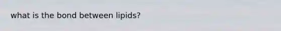 what is the bond between lipids?