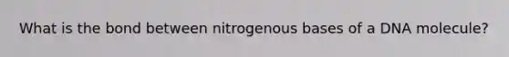 What is the bond between nitrogenous bases of a DNA molecule?