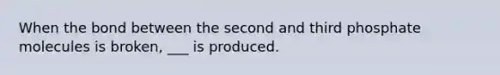 When the bond between the second and third phosphate molecules is broken, ___ is produced.