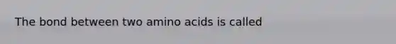 The bond between two amino acids is called