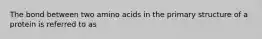 The bond between two amino acids in the primary structure of a protein is referred to as