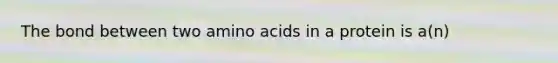 The bond between two <a href='https://www.questionai.com/knowledge/k9gb720LCl-amino-acids' class='anchor-knowledge'>amino acids</a> in a protein is a(n)