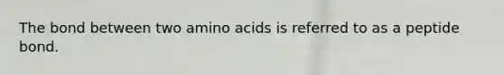 The bond between two <a href='https://www.questionai.com/knowledge/k9gb720LCl-amino-acids' class='anchor-knowledge'>amino acids</a> is referred to as a peptide bond.