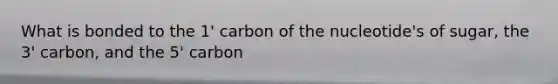 What is bonded to the 1' carbon of the nucleotide's of sugar, the 3' carbon, and the 5' carbon