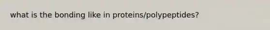 what is the bonding like in proteins/polypeptides?