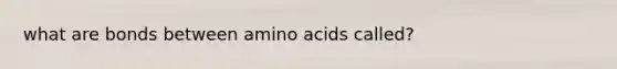 what are bonds between amino acids called?