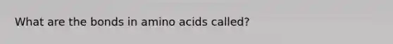 What are the bonds in <a href='https://www.questionai.com/knowledge/k9gb720LCl-amino-acids' class='anchor-knowledge'>amino acids</a> called?