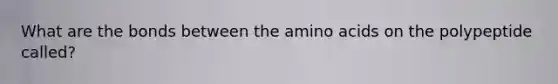 What are the bonds between the amino acids on the polypeptide called?