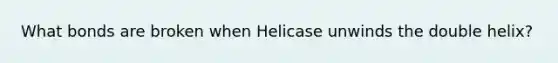 What bonds are broken when Helicase unwinds the double helix?