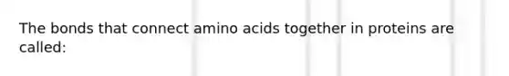 The bonds that connect amino acids together in proteins are called: