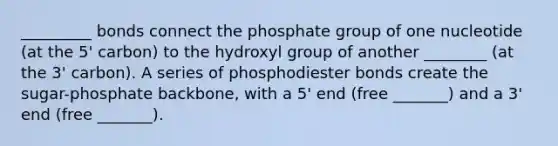 _________ bonds connect the phosphate group of one nucleotide (at the 5' carbon) to the hydroxyl group of another ________ (at the 3' carbon). A series of phosphodiester bonds create the sugar-phosphate backbone, with a 5' end (free _______) and a 3' end (free _______).