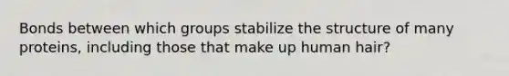 Bonds between which groups stabilize the structure of many proteins, including those that make up human hair?