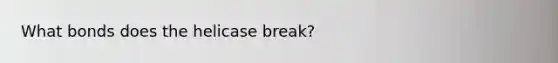 What bonds does the helicase break?