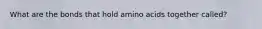 What are the bonds that hold amino acids together called?