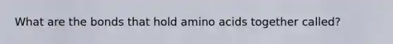 What are the bonds that hold amino acids together called?