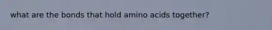 what are the bonds that hold amino acids together?