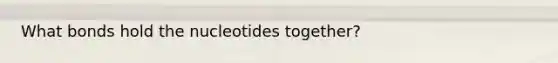 What bonds hold the nucleotides together?