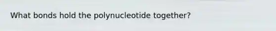 What bonds hold the polynucleotide together?