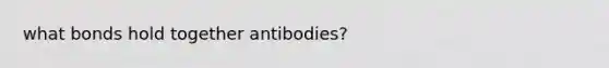 what bonds hold together antibodies?