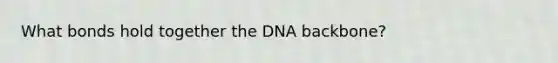 What bonds hold together the DNA backbone?