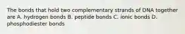 The bonds that hold two complementary strands of DNA together are A. hydrogen bonds B. peptide bonds C. ionic bonds D. phosphodiester bonds