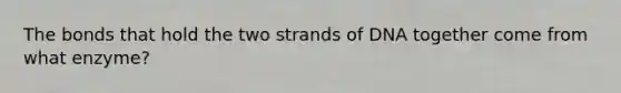 The bonds that hold the two strands of DNA together come from what enzyme?