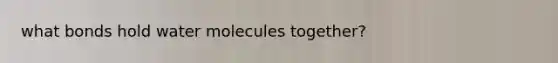 what bonds hold water molecules together?