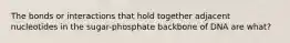 The bonds or interactions that hold together adjacent nucleotides in the sugar-phosphate backbone of DNA are what?