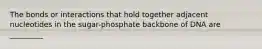 The bonds or interactions that hold together adjacent nucleotides in the sugar-phosphate backbone of DNA are _________