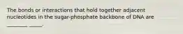 The bonds or interactions that hold together adjacent nucleotides in the sugar-phosphate backbone of DNA are ________ _____.