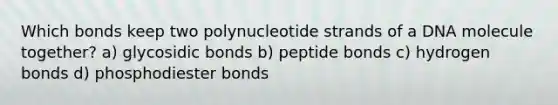 Which bonds keep two polynucleotide strands of a DNA molecule together? a) glycosidic bonds b) peptide bonds c) hydrogen bonds d) phosphodiester bonds