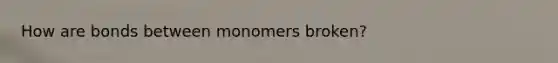 How are bonds between monomers broken?