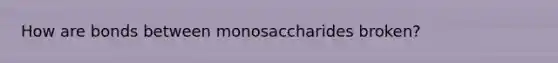 How are bonds between monosaccharides broken?